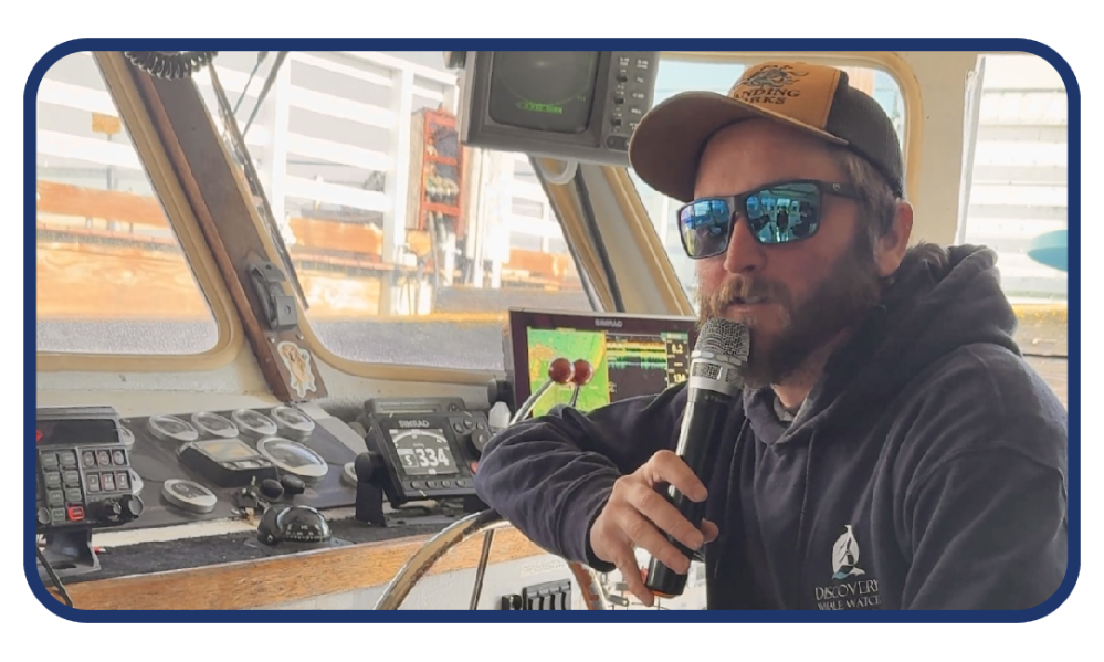 Captain Andrew