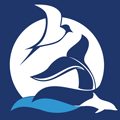 Discovery Whale Watch