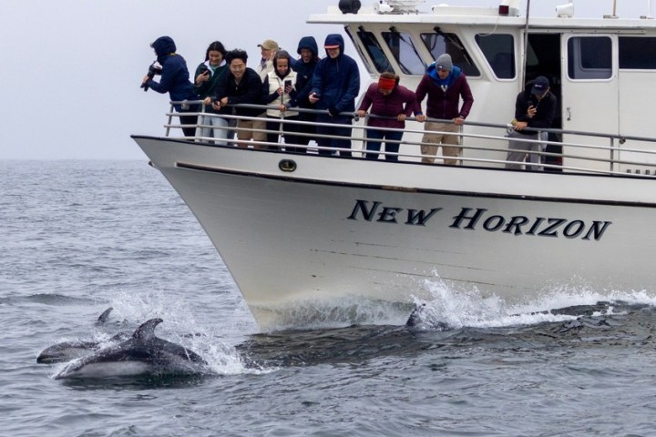 a group of people on a boat in the water